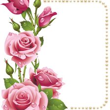 Схема вышивки «розы»