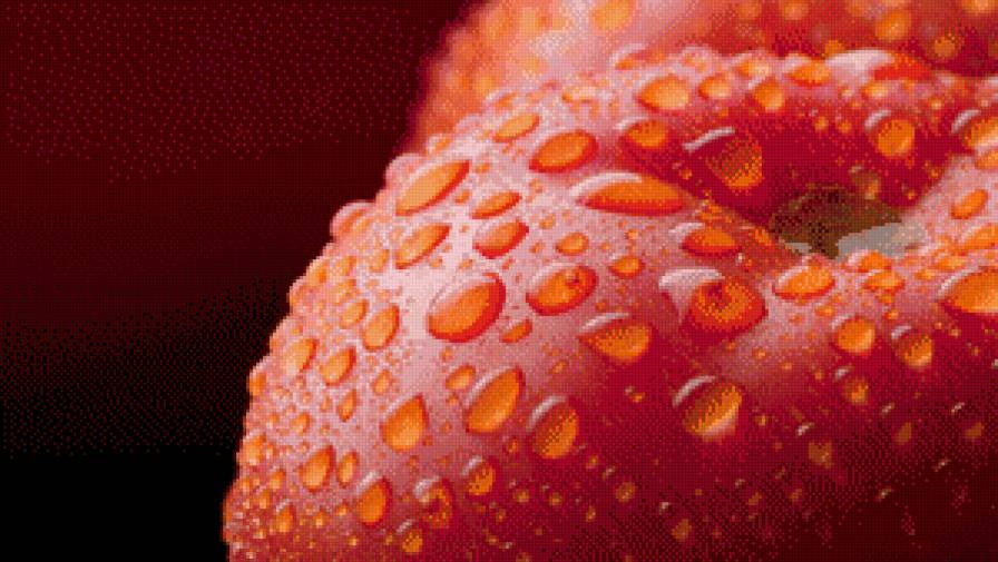 Помидор - фрукты, овощи, вода - предпросмотр