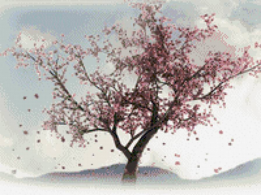 цветущая сакура - дерево, япония, сакура - предпросмотр