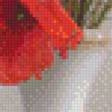 Предпросмотр схемы вышивки «маки» (№861882)
