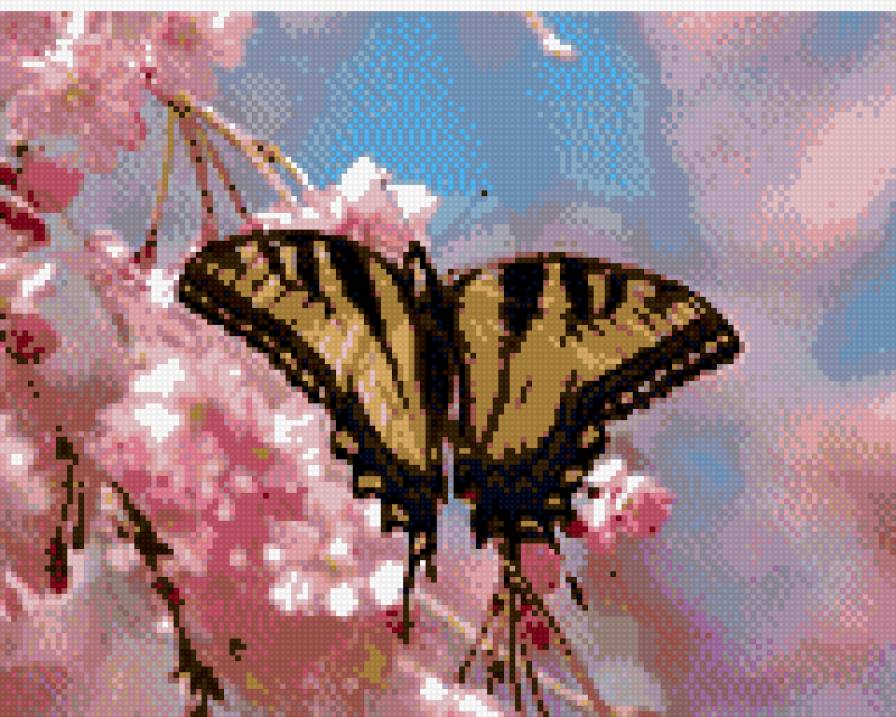 бабочка - сакура, ветка, бабочка - предпросмотр