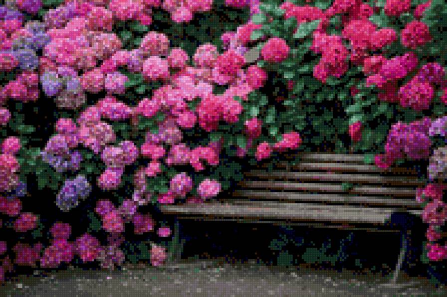скамейка в саду - изгородь, скамейка, цветы, лето, сад - предпросмотр