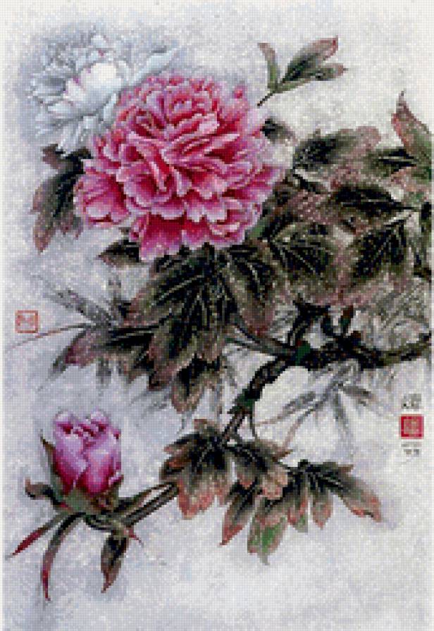 цветы - цветы - предпросмотр