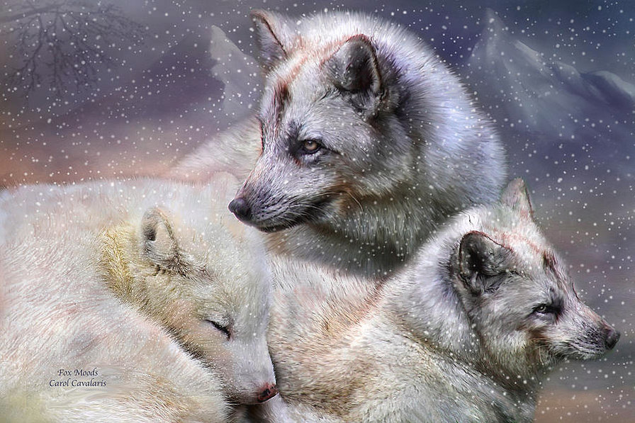 белые волки - хищник, зима, снег, стая, волки, волк - оригинал