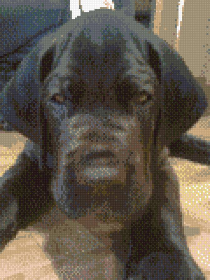 Даня - дожик - предпросмотр