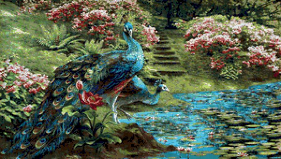 Павлины гобелен - озеро, природа, пруд, гобелен, павлины - предпросмотр