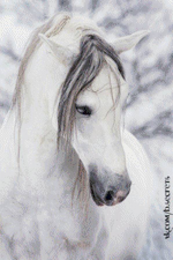Снежная королева - снег, красота, лошадь, зима - предпросмотр