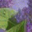 Предпросмотр схемы вышивки «сирень» (№862431)