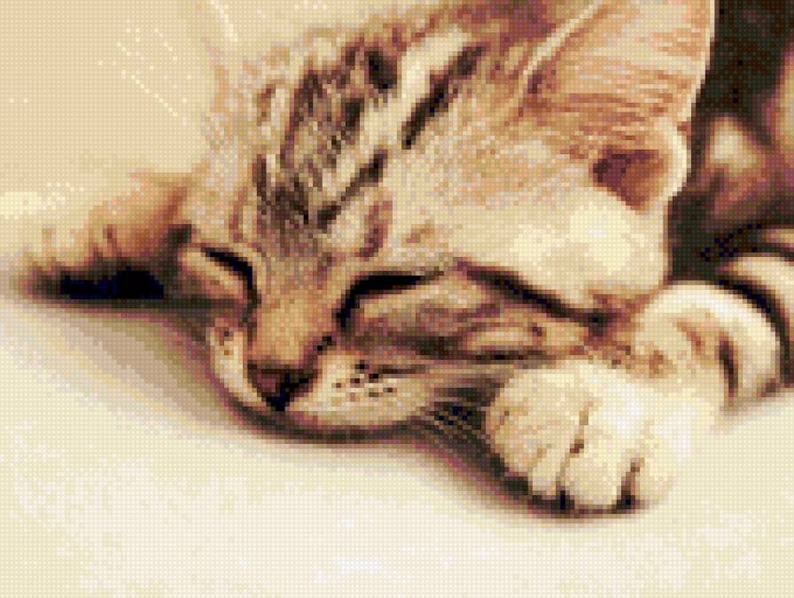 Спящий котёнок - котик, сепия, кот, котенок, спящий, сон - предпросмотр