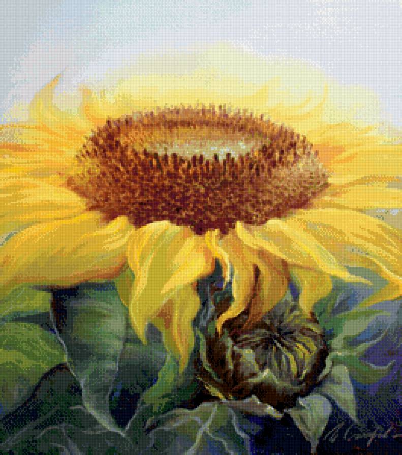 подсолнух - цветы, лето, панно, подсолнух, солнце, картина - предпросмотр