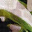 Предпросмотр схемы вышивки «Белые тюльпаны» (№862932)