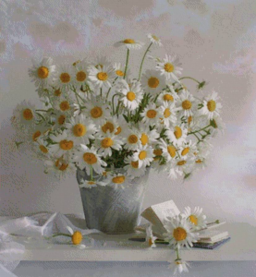 Ромашки - предпросмотр