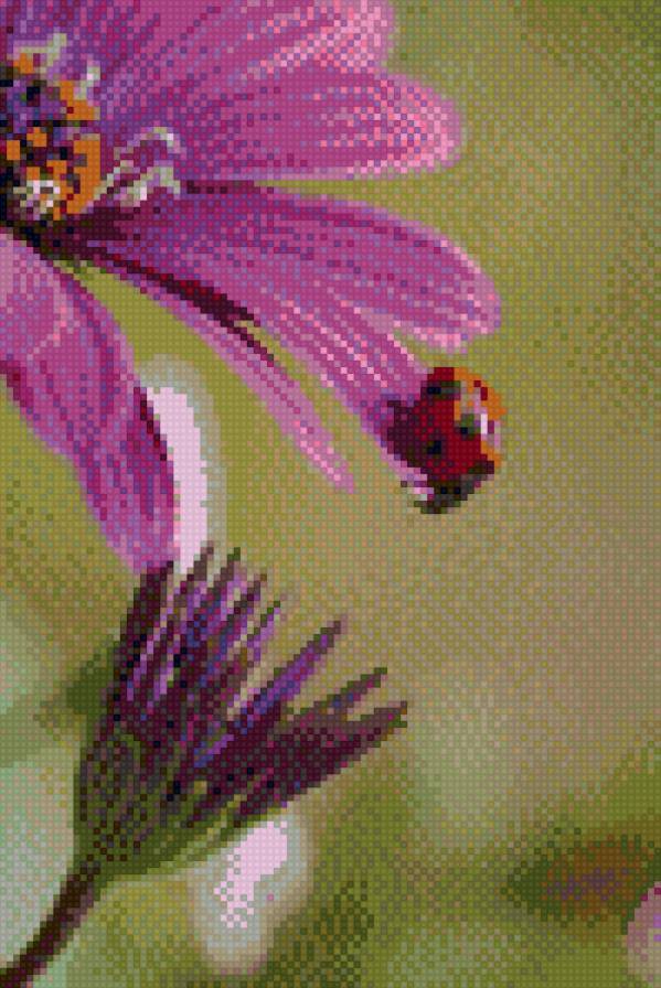 Божья коровка - цветы, божья коровка - предпросмотр