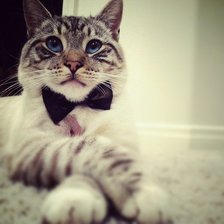 Схема вышивки «Ковалер»