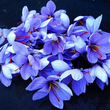 Схема вышивки «№863197»