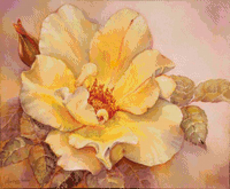 Магнолия - магнолия, цветок, желтый, цветы - предпросмотр