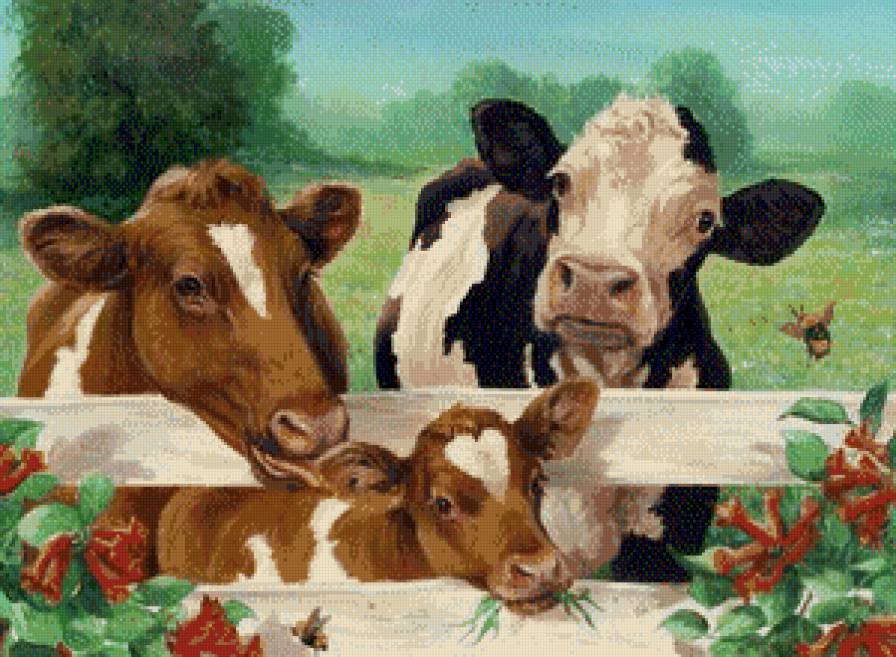 Счастливое семейство - предпросмотр