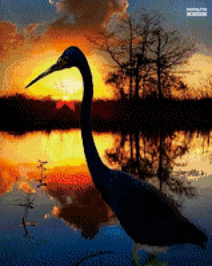 цапля на закате - закат цапля вечер - предпросмотр