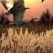 Схема вышивки «полет»