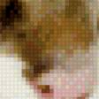 Предпросмотр схемы вышивки «кот» (№863922)