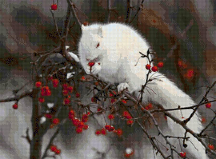 №864031 - предпросмотр