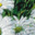 Предпросмотр схемы вышивки «Ромашки» (№864052)