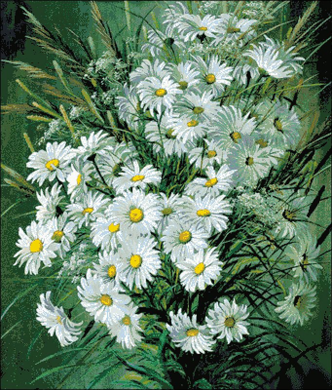 Ромашки - букет - оригинал