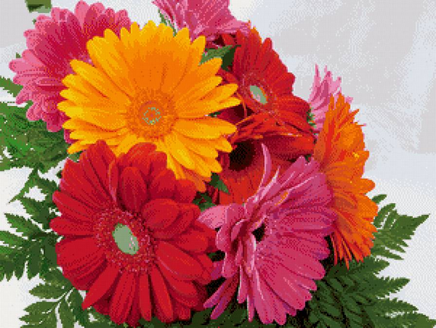 Герберы - цветы - предпросмотр