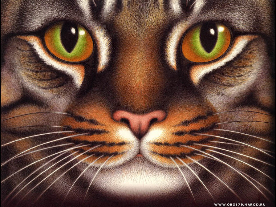 мордочка кошки - коты - оригинал