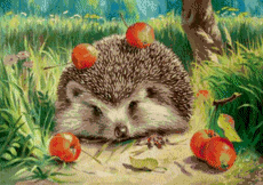 ежик с яблоками - предпросмотр