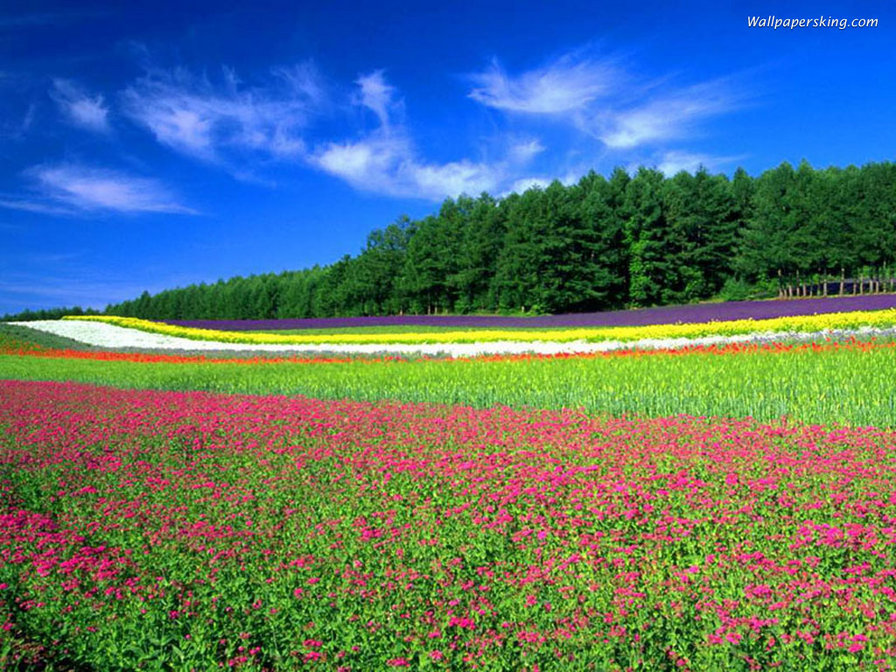 landscape - оригинал