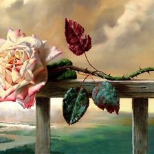 Схема вышивки «роза 11»