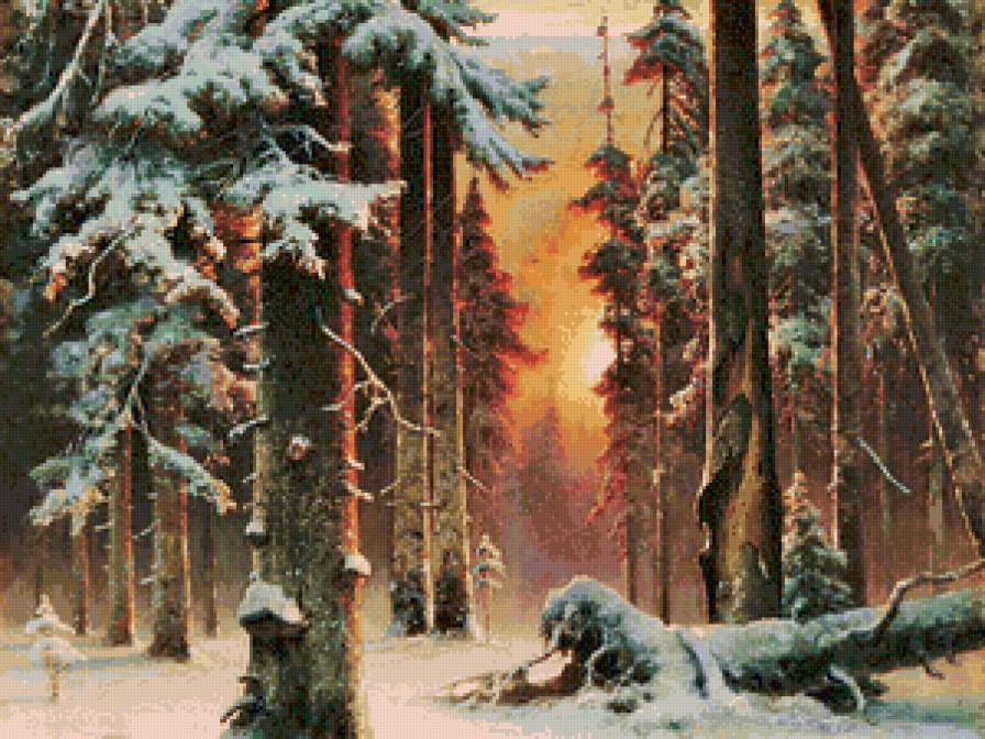 лес - природа, закат, дерево, зима, лес, времена года, пейзаж - предпросмотр