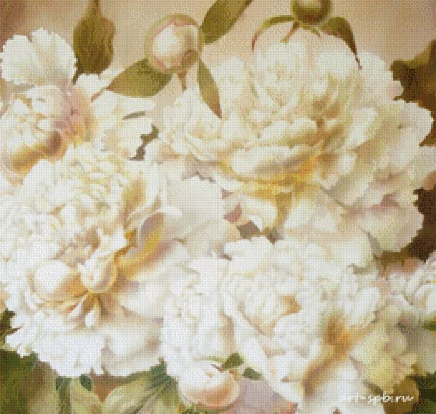 Белые пионы - цветы, батик, нежность, белый - предпросмотр