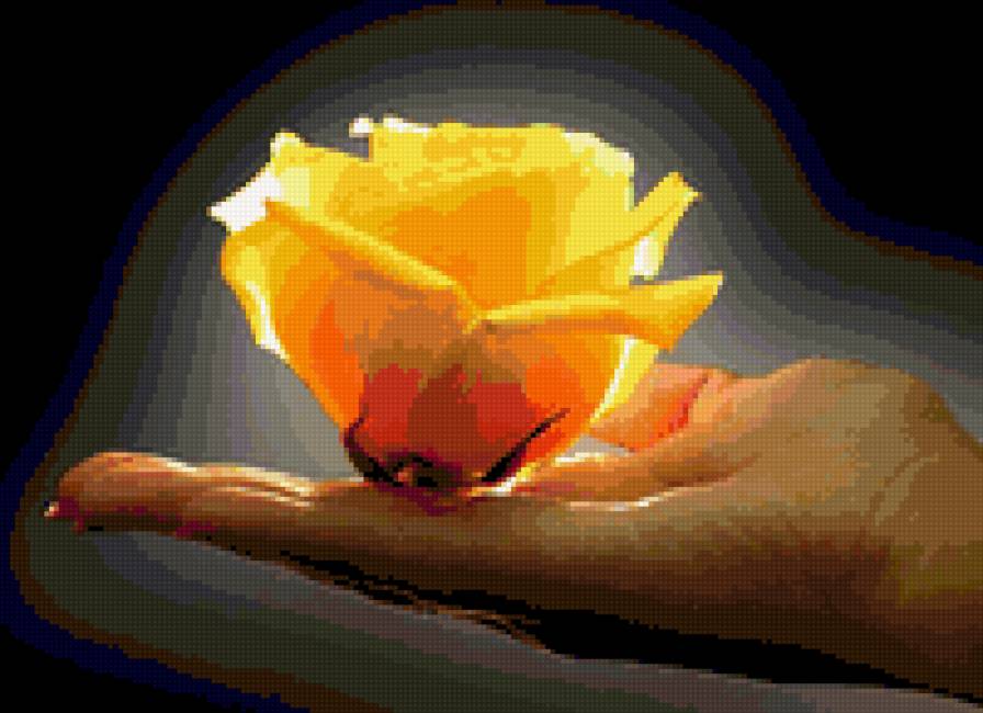 кусочек тепла - рука, цветы, человек, роза - предпросмотр