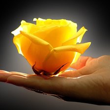 Схема вышивки «кусочек тепла»