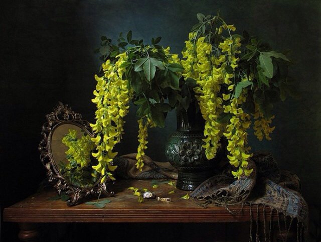 Желтая акация - натюрморт, цветы, акация, желтый - оригинал