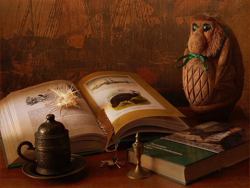 книга путешествий - оригинал