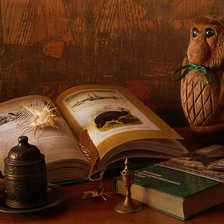 книга путешествий