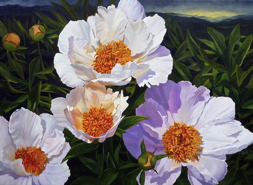 белые пионы - весна, цветы, живопись, букет, пионы, картина, сад - оригинал