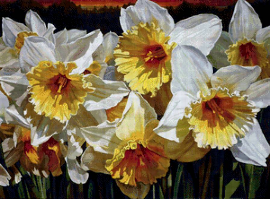 весенние нарцисы - букет, нарцисы, весна, панно, цветы, картина - предпросмотр