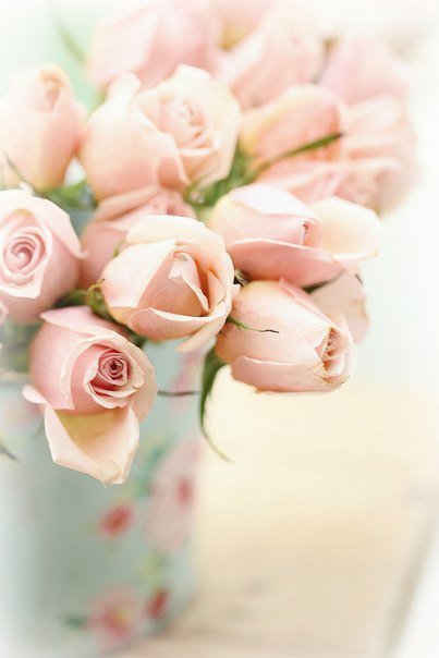 розы - оригинал