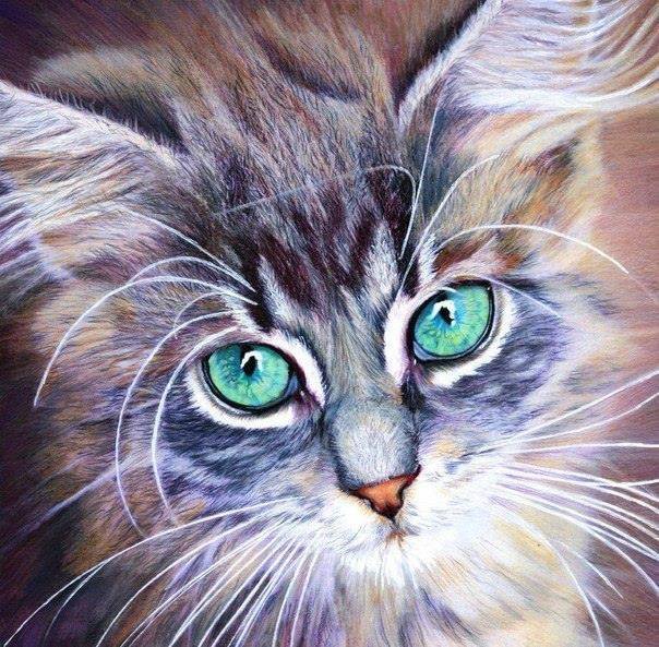 Киса - кошки - оригинал