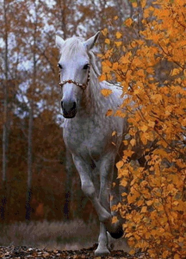 осенью - предпросмотр