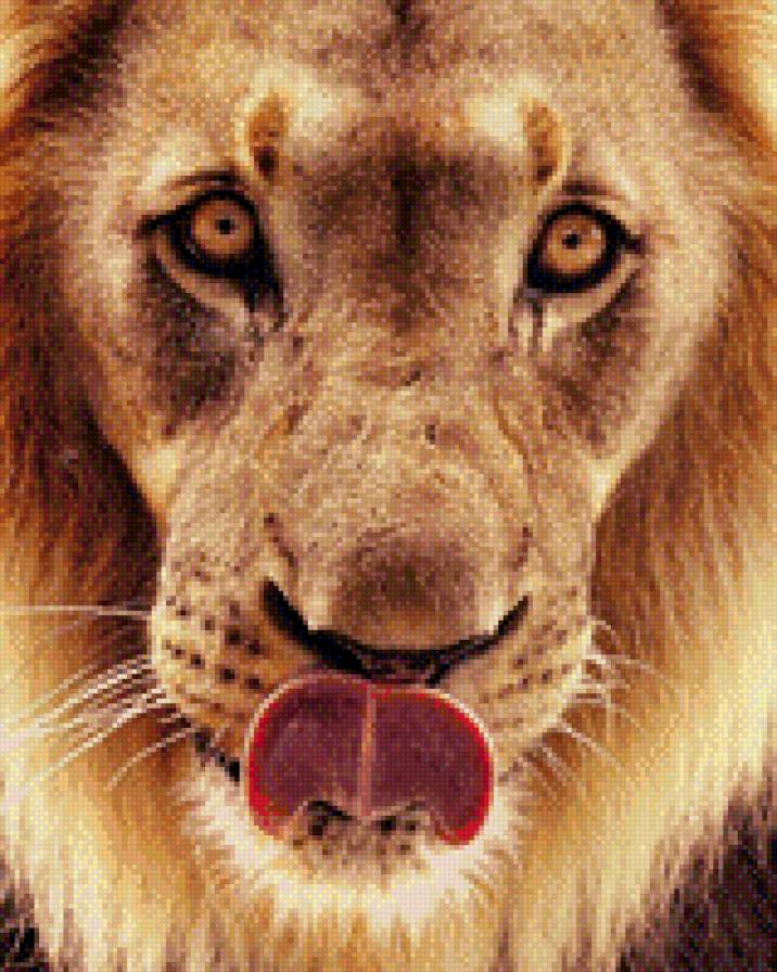 лев - предпросмотр