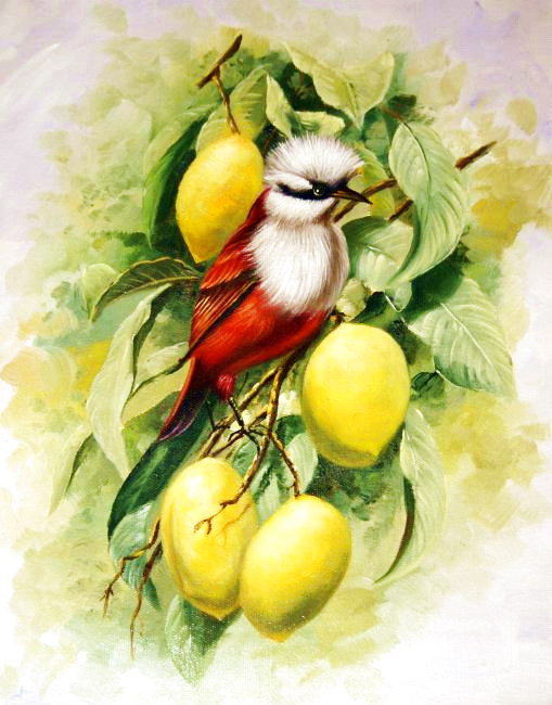 райская птичка - оригинал