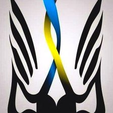 Схема вышивки «Герб - Птица»