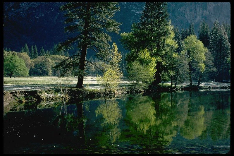 берег реки - оригинал