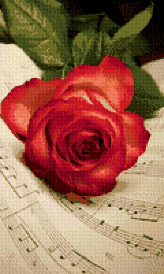 Ноты с розой - предпросмотр