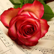 Схема вышивки «Ноты с розой»